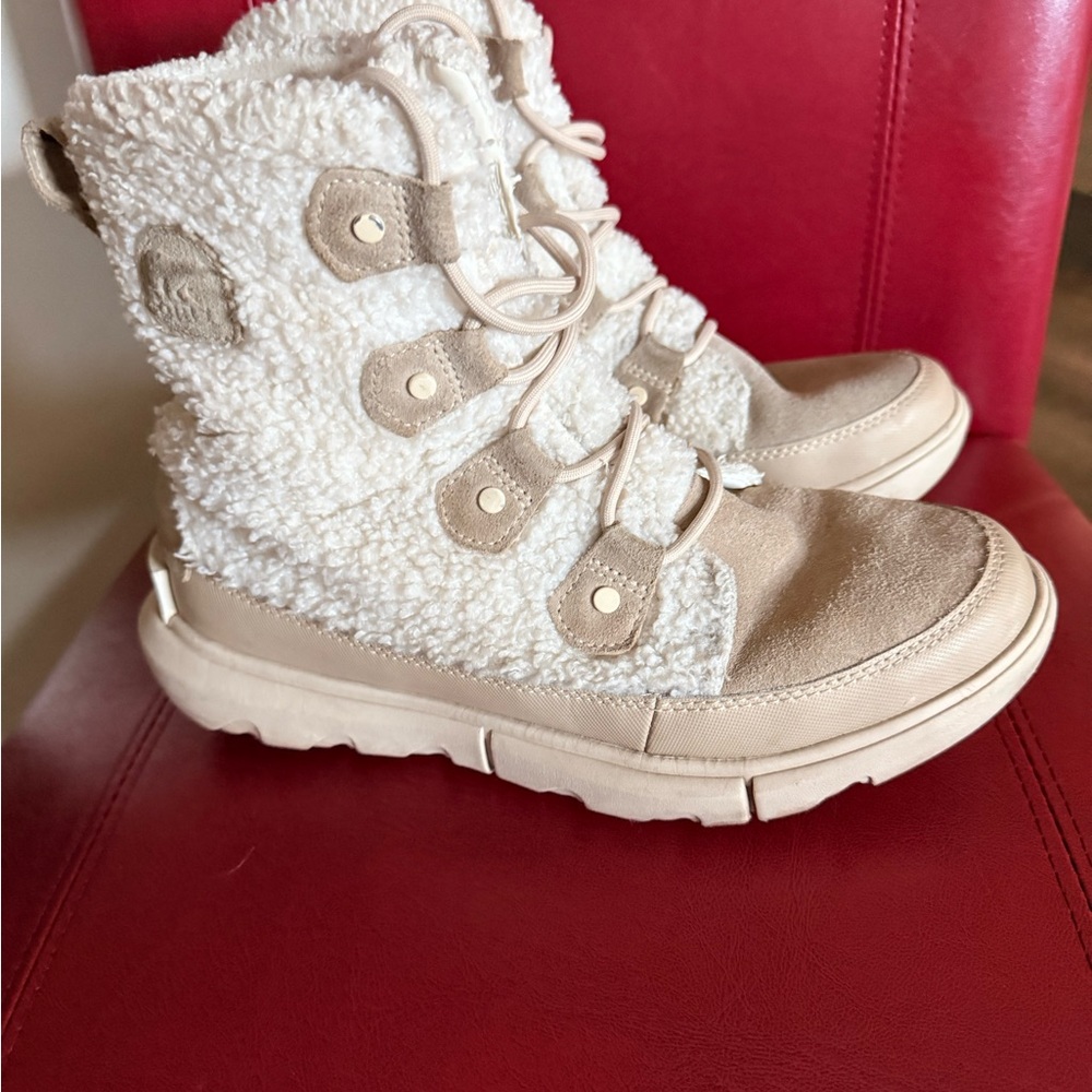 Winter Sorel